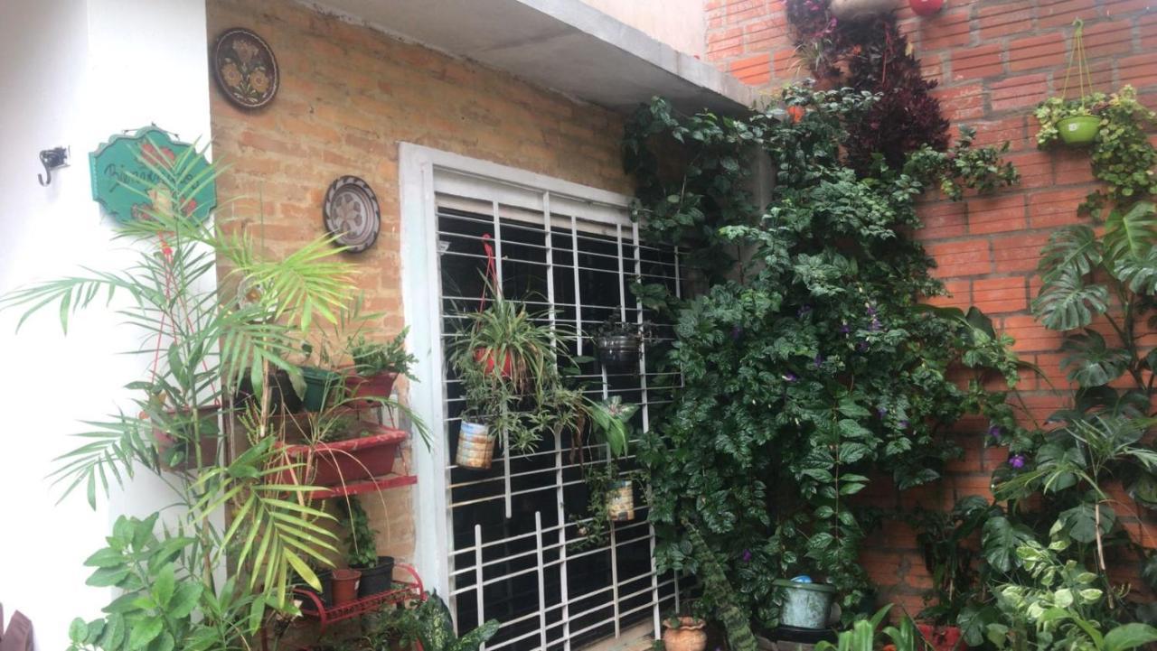La Petite Maison De Diana Асунсион Екстериор снимка